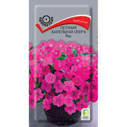 ������ ������ ������� ��������� ����� ����   ����