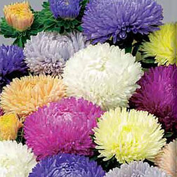 ������ ������ ����� ���� ����� ���� (1��-3��) ���������������� ������   ����