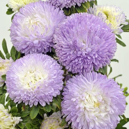 ������ ������ ����� ����� ������� ��� (1��-3��) ���������������� ������   ����