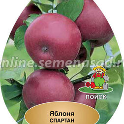 ������ ������ ������ ������� (������ ��������) (� �����)   ����