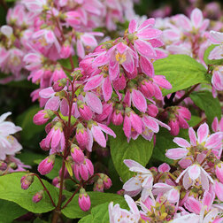 ������ ������ ������ ������������ �������� ���   ����