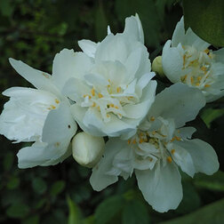 ������ ������ ������ ������� (��������) �������   ����