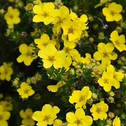 ������ ������ �������� ������������� ������ �������   ����