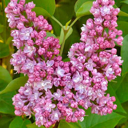 ������ ������ ������ ������������ ���� �� �����   ����