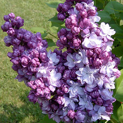 ������ ������ ������ ������������ ������� ��������   ����