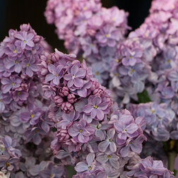 ������ ������ ������ ������������ �������� ������   ����