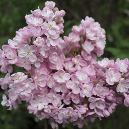 ������ ������ ������ ������������ ����������   ����