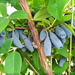 ������ ������ ��������� ��������� ����������� ����   ����