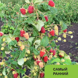 ������ ������ ������ ������������ �����-��������   ����