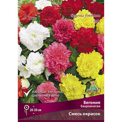 ������ ������ ������� ����������� ����� �������   ����