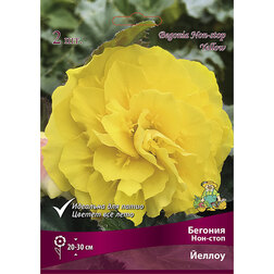 ������ ������ ������� ���-���� ������   ����