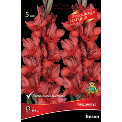 ������ ������ ��������� �����   ����