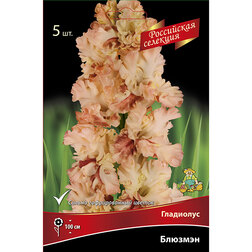 ������ ������ ��������� �������   ����