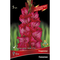 ������ ������ ��������� �������   ����