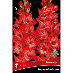 ������ ������ ��������� ������� ������   ����