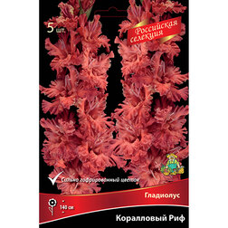 ������ ������ ��������� ���������� ��� 12   ����