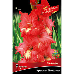 ������ ������ ��������� ������� �������   ����