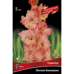 ������ ������ ��������� ������ ��������   ����