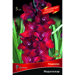 ������ ������ ��������� ����������   ����