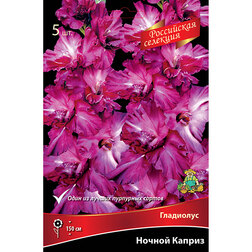 ������ ������ ��������� ������ ������   ����