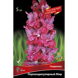 ������ ������ ��������� ���������������� ���   ����