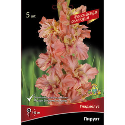 ������ ������ ��������� ������   ����