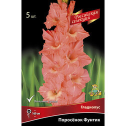 ������ ������ ��������� ��������� ������   ����