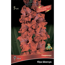 ������ ������ ��������� ��� ������   ����