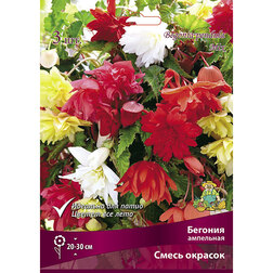 ������ ������ ������� ��������� ����� �������   ����