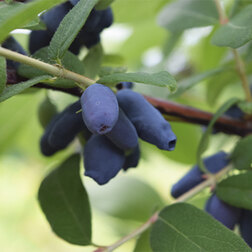 ������ ������ ��������� ��������� �����   ����