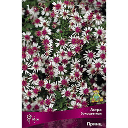 ������ ������ ����� ������������� �����   ����