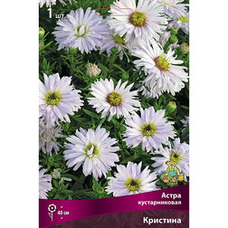 ������ ������ ����� ������������� ��������   ����