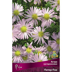 ������ ������ ����� ������������� ����� ���   ����