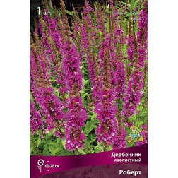 ������ ������ ��������� ���������� ������   ����