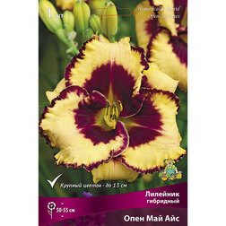 ������ ������ �������� ��������� ���� ��� ���   ����