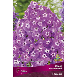 ������ ������ ����� ����������� ������   ����