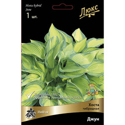 ������ ������ ����� ��������� ����*   ����