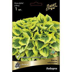 ������ ������ ����� ��������� �������*   ����