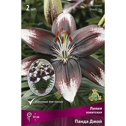 ������ ������ ����� ��������� ����� ���� (2 ��.)   ����