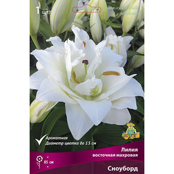 ������ ������ ����� ��������� �������� (1 ��.)   ����