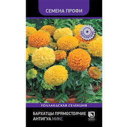 ������ ������ �������� ������������ ������� ���� (������ �����)   ����