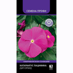 ������ ������ ���������� �������� ��� ����� (������ �����)   ����