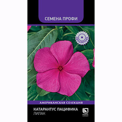 ������ ������ ���������� �������� ����� (������ �����)   ����