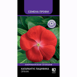 ������ ������ ���������� �������� ����� (������ �����)   ����