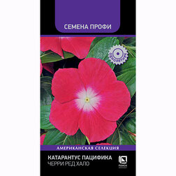 ������ ������ ���������� �������� ����� ��� ���� (������ �����)   ����