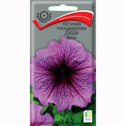 ������ ������ ������� ����������� ����� �����   ����