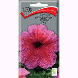 ������ ������ ������� ����������� ����� ���   ����