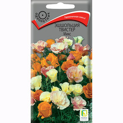 ������ ������ ��������� ������� ����   ����