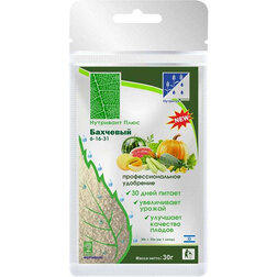 ������ ������ ��������� ���� �������� (6-16-31+�� � �����������) 30�   ����