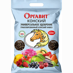 ������ ������ ������� ����� 10�� �������   ����